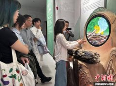 澳大利亚华裔青年“揽”琼岛：从非遗里看见海