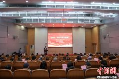 上海侨界人士凝聚思想共识 共探培育新质生产力