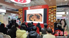10万人次打卡、40万种图书、1亿馆采，2025北京图