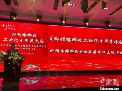 2024年广西柳州螺蛳粉全产业链销售收入预计超