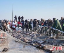 兴凯湖冬捕节启幕 首网“出水”10万斤鱼