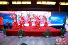中国驻南非使馆举行“欢乐春节·共庆中国年”新