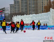 （新春走基层）海外侨胞为内蒙古青少年文旅体
