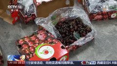 “洋年货”上桌啦！小小车厘子见证中国开放市