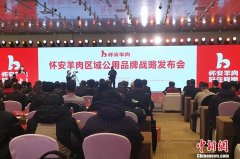 怀安羊肉区域公用品牌战略发布会在北京举办
