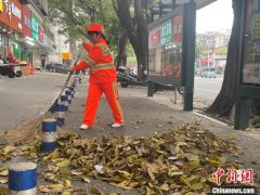 （新春走基层）广西柳州城市管理者春节坚守岗