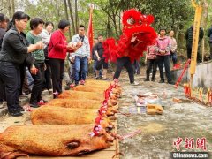 （侨乡新貌）广东台山侨胞回乡祭祖  “侨经济”
