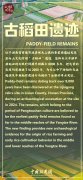 文明的坐标丨“这里的先民8000多年前就种水稻”