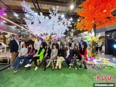 华侨徐定伟：节日灯点亮巴西市场 番薯干带富家