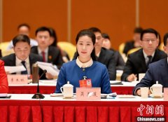 安徽省人大代表吴美莲：创新发展长江文化和黄