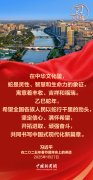 【团圆年】习言道｜重温总书记的新春祝福，汲