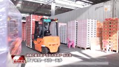 体验传统文化、赶年货大集，从城市到乡村节前