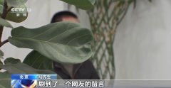 专用App购涨停股轻松获利？警惕“线上诈骗 线下