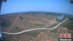 湖南零陵做强“绿色GDP  ”  林下经济激活乡村振