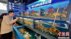 吉林推动与东北亚地区港口城市互联互通
