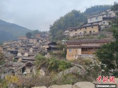 浙江：老屋如何“住进”新故事？