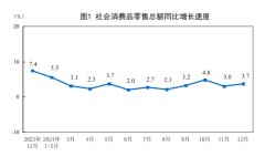 2024年12月份社会消费品零售总额增长3.7%