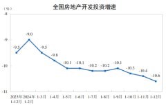 2024年全国房地产开发投资100280亿元