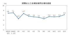 2024年12月份规模以上工业增加值增长6.2%