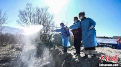 西藏定日县茶江村学生卫生防疫志愿者助力灾后