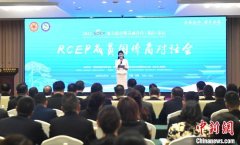 RCEP国家皖籍侨团联盟扩容