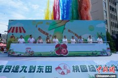 侨乡南安开启杨梅季 古老圩市变身嘉年华