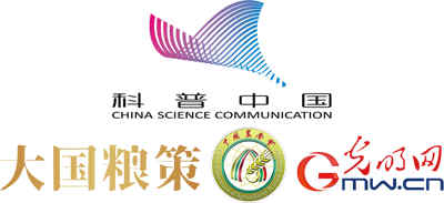 【大国粮策】作物学：从一粒种子到万千粮仓的进化密码