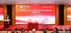 民营经济促进法实施与侨企高质量发展主题活动