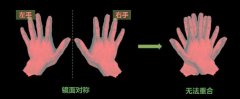 
院士科普|从“手性”到精准调控：不对称催化的