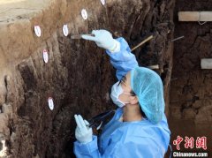 和龙大洞遗址发掘展现长白山地区石器工业演化