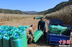 （乡村行·看振兴）山西五台：农业循环经济里的