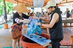 “海外新声代”行走中讲述中国：“海南惊艳了