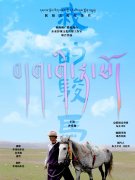 《我的骏马》成功入围香港紫荆花国际电影节短