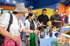 海外华文媒体走进杭州桐庐 探访县域发展新图景
