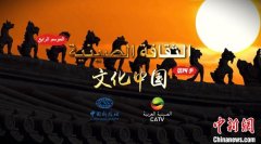 让突尼斯姑娘直呼太美了，中阿双语电视专题片