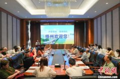 海外华文媒体到访广西梧州  “千年古郡”茶旅融