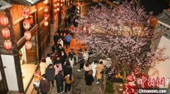 过境免签利好显现 福建武夷山境外游客同比增长