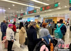 蛇年春节假期 上海空港口岸出入境人员数比去年