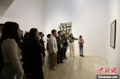 “透过她/他/TA的视界：海外华人艺术回顾展”开