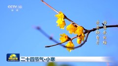 文化中国行丨二十四节气·小寒 虽寒犹美的冬日