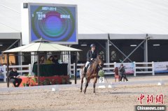盛装舞步马术俱乐部联赛衡水站开赛