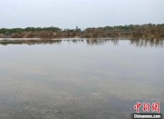 （乡村行·看振兴）江西南昌：推进稻虾综合种养