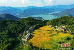 （侨乡新貌）侨胞“点绿成金”助力浙江“两山