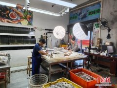 海岛发展“三重奏”：“侨智”破题铺就共富路