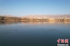 青海2024年地级以上城市PM2.5平均浓度19微克/立方