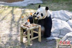 元宵佳节 上海野生动物园里的动物们“炫”起专