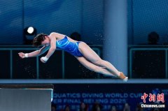 陈芋汐、全红婵包揽跳水世界杯女子单人10米台金